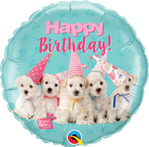 Happy Birthday - Party hat puppies
